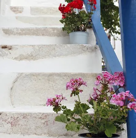 Apartman Bougainvillea House Párosz
